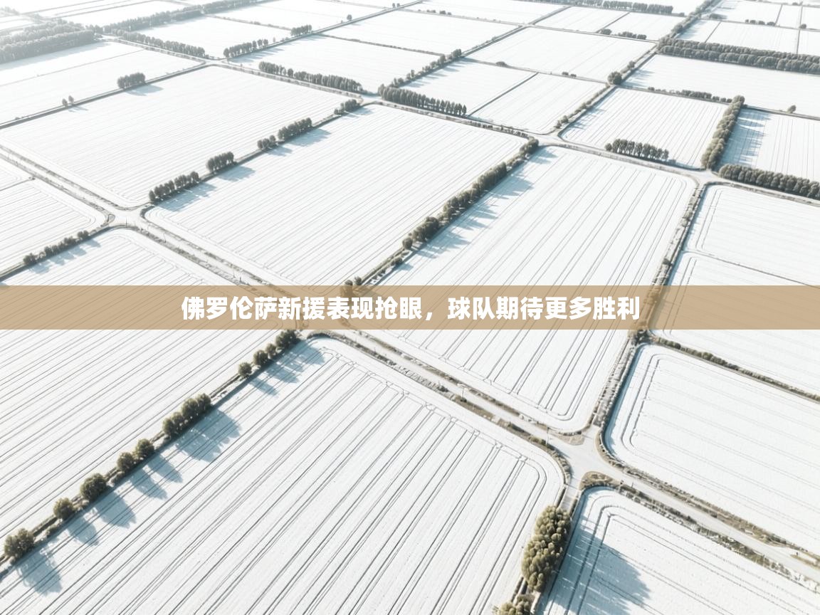 佛罗伦萨新援表现抢眼,球队期待更多胜利